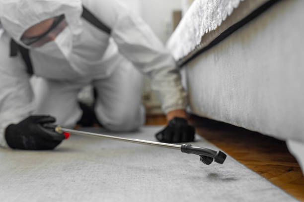 Professional Cockroach Control technician working in Pecan Grove, TX