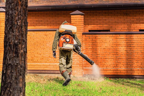 Trusted Ant Control service in Pecan Grove, TX - Nex Pest Control